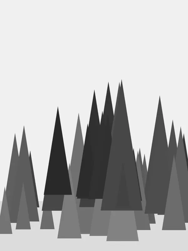 Pine Forest