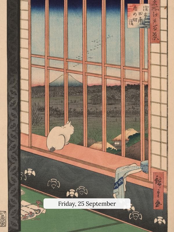 Cat at the Window
