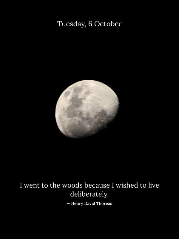 Full Moon, Daily Words