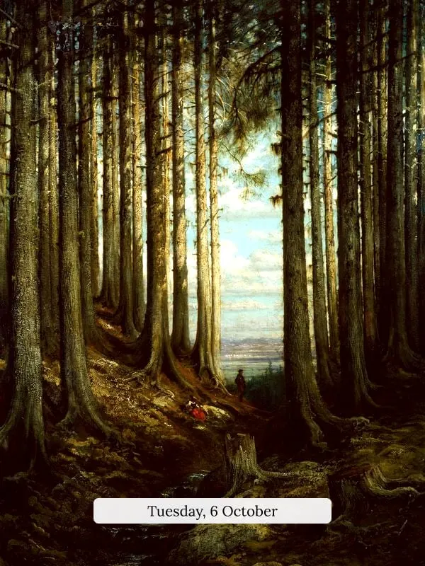 Alpine Forest