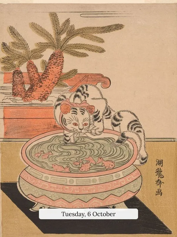 Cat and Goldfish