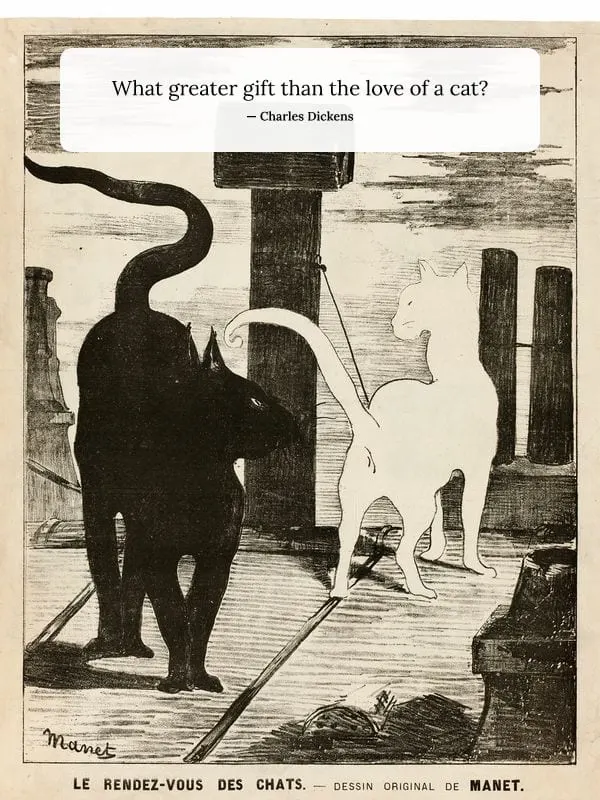 The Cats’ Rendezvous