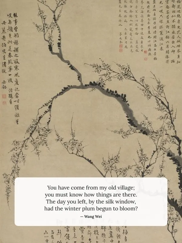 Plum Blossoms