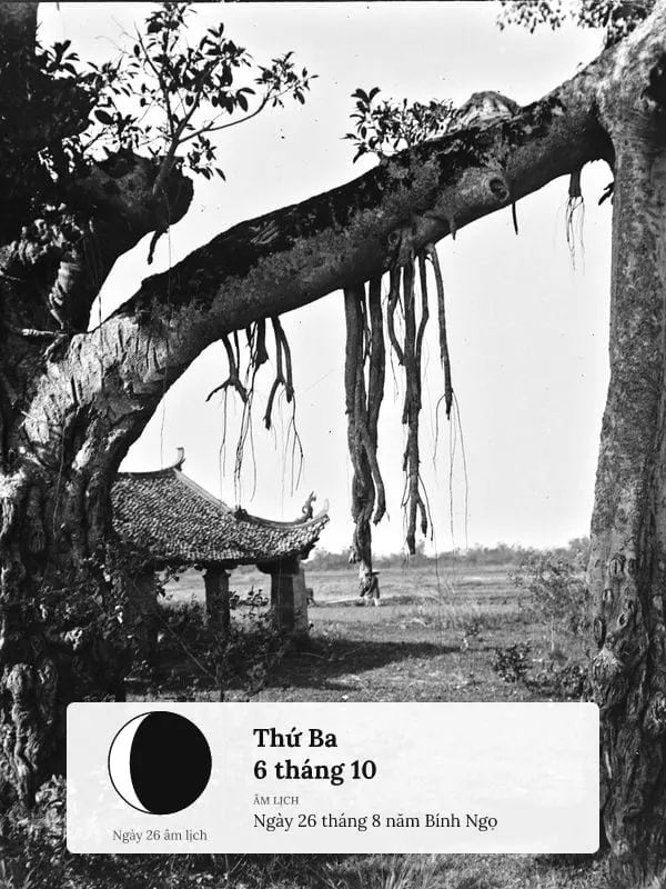 Cây Đa Bến Đò